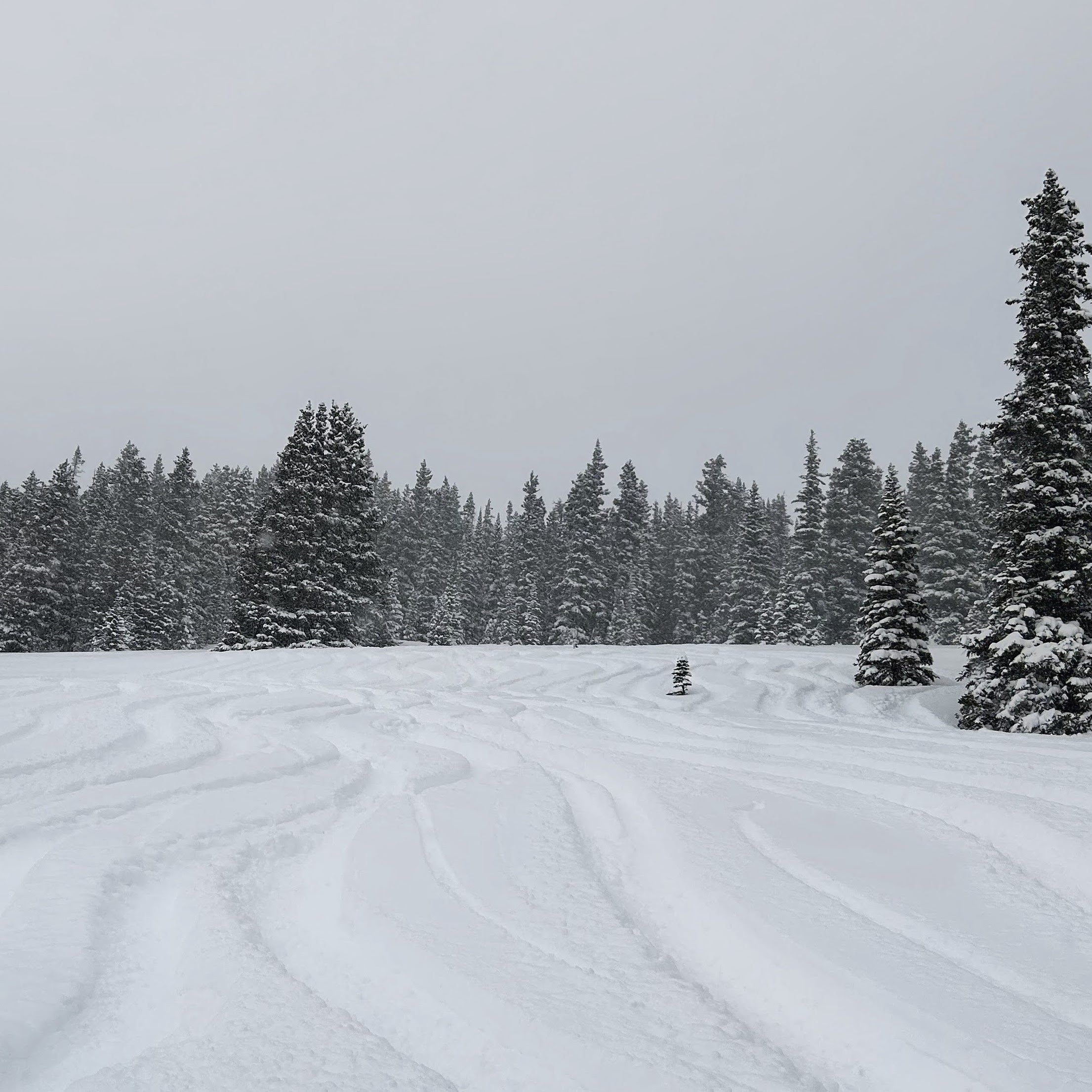 Why More Skiers Should Choose the Backcountry