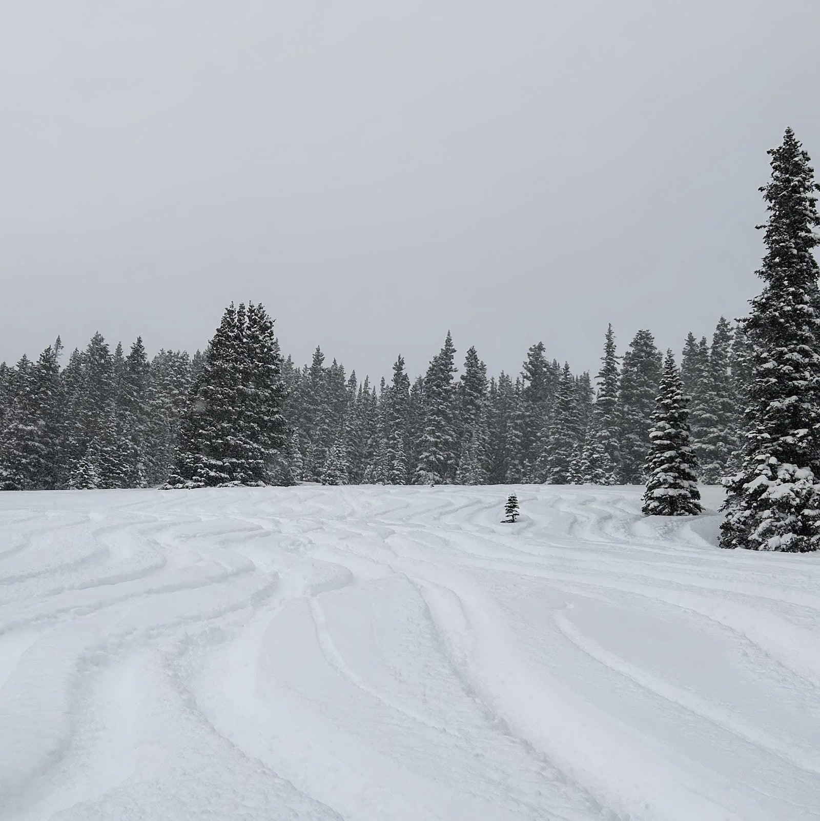 Why More Skiers Should Choose the Backcountry