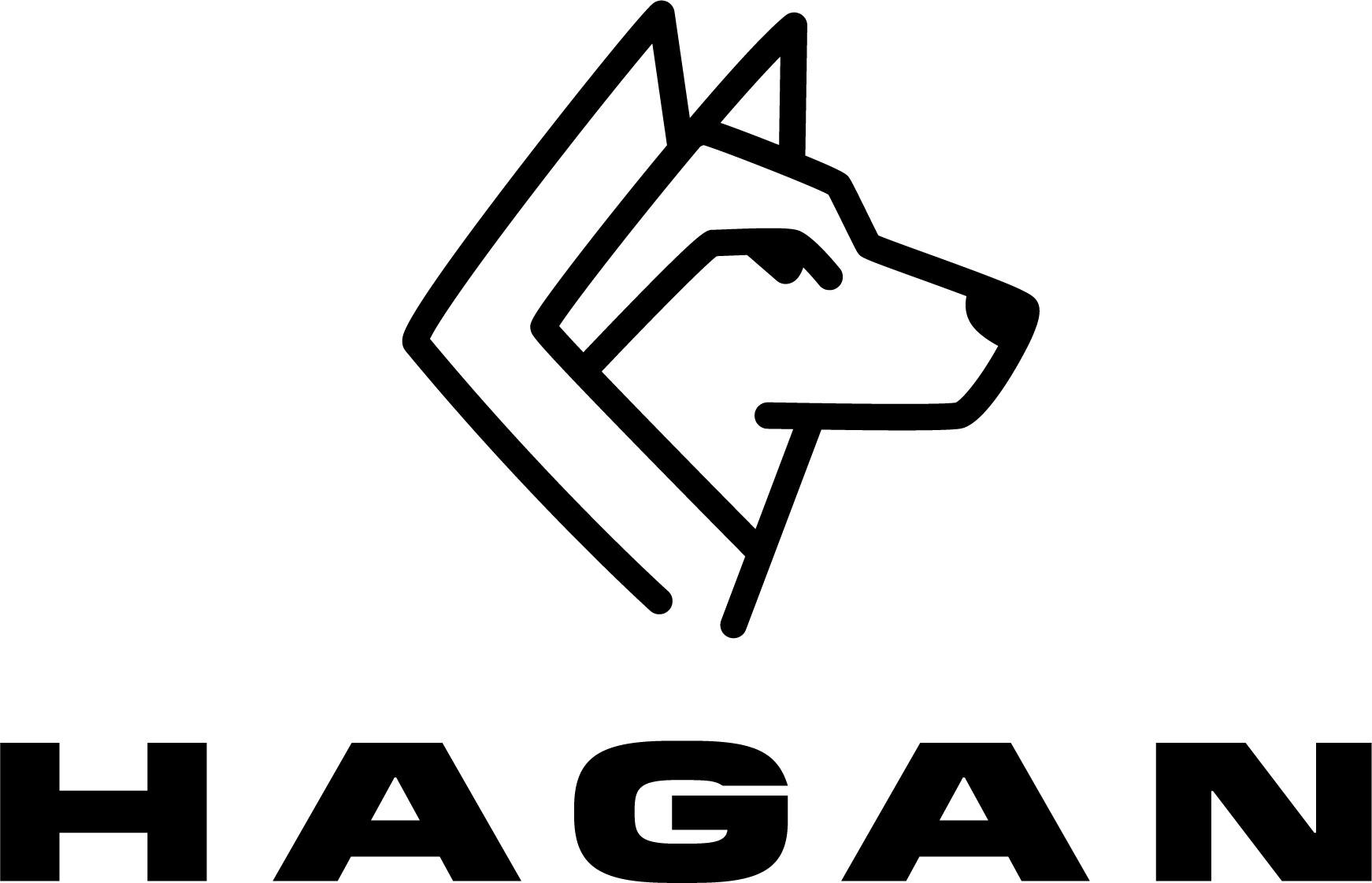 HAGAN Ski Mountaineering