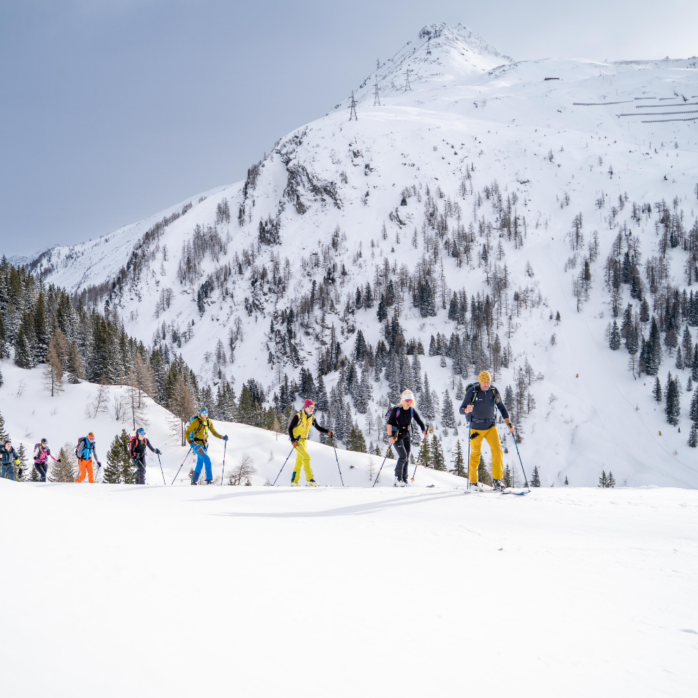 Hagan Pure 75 All-Mountain Backcountry Alpine Touring Ski - HAGAN Hagan Pure 75 All-Mountain Backcountry Alpine Touring Ski - HAGAN