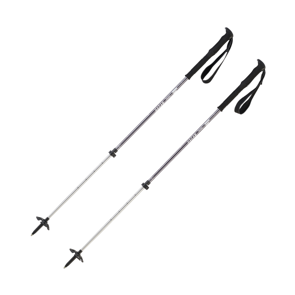 Pure Pole, Poles - Hagan Ski Mountaineering Alpine Ski Touring Backcountry Gear